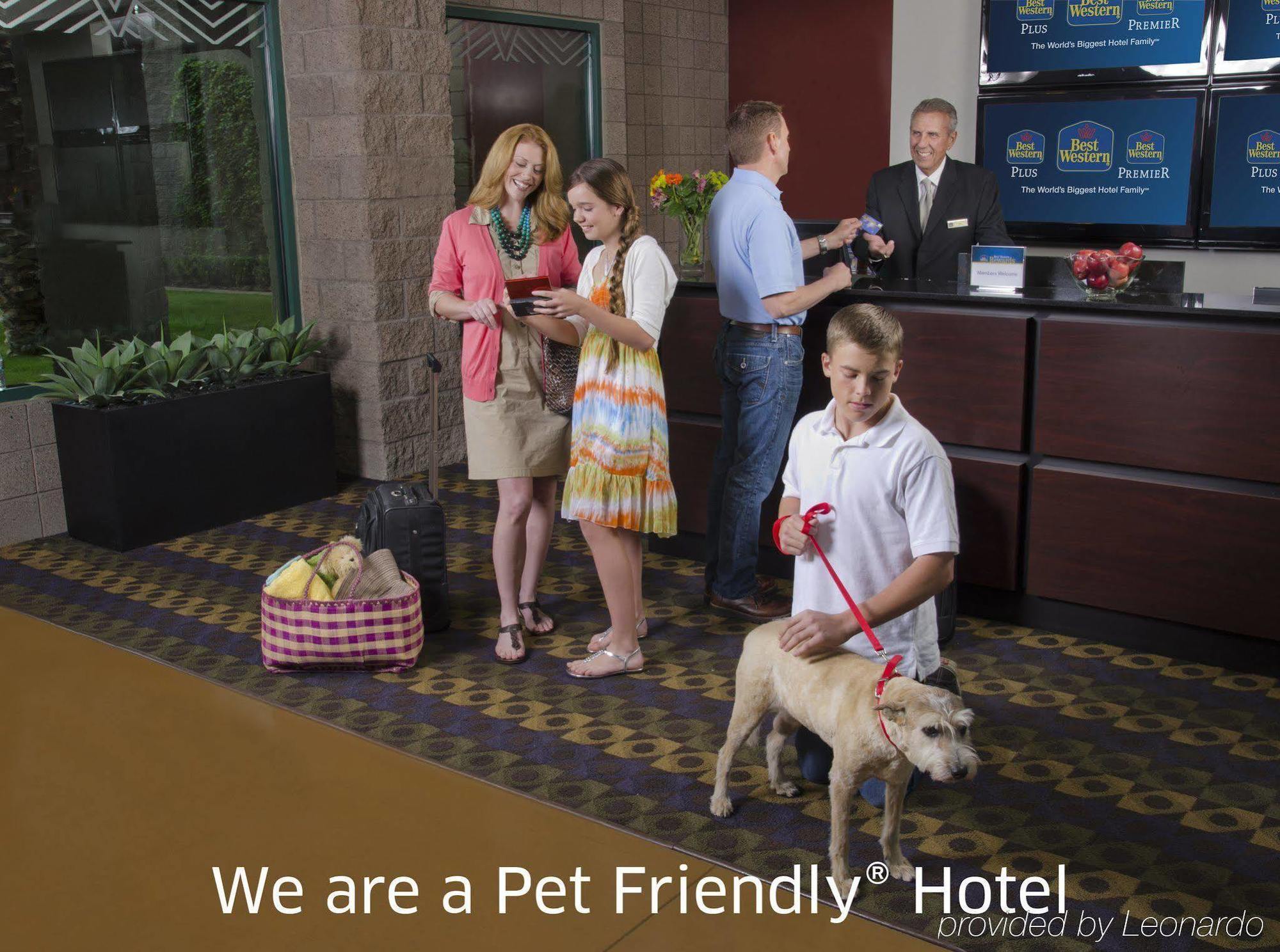 Best Western Socorro Hotel & Suites Exteriér fotografie